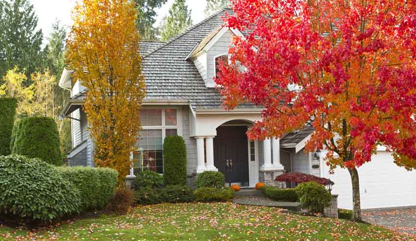 Tips for Preparing Your Plumbing for Fall