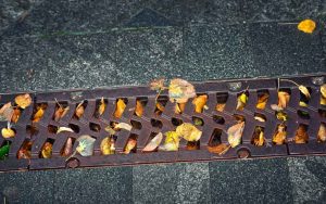 fallen leaves blocking an outdoor drain